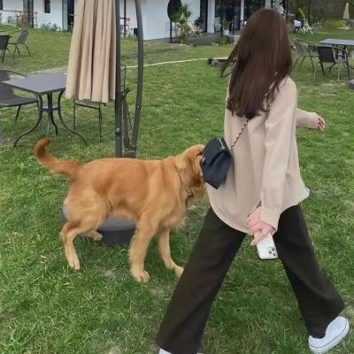 看守的信条