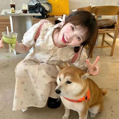 大理寺日志